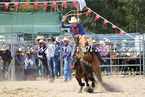 PictonRodeo2015_1285