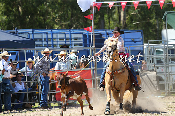 PictonRodeo2015_1311
