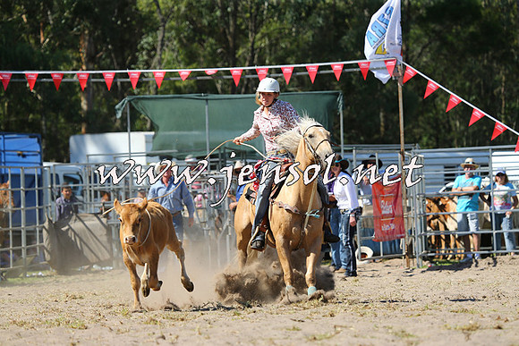 PictonRodeo2015_1535