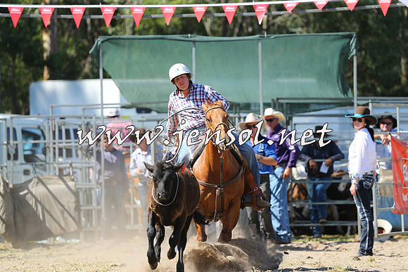 PictonRodeo2015_1546