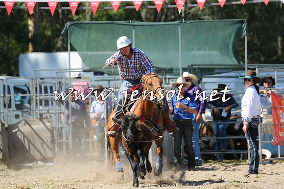 PictonRodeo2015_1541