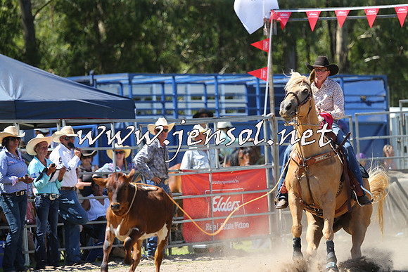 PictonRodeo2015_1315