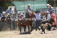 PictonRodeo2015_0044