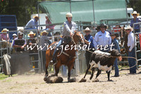 PictonRodeo2015_0046