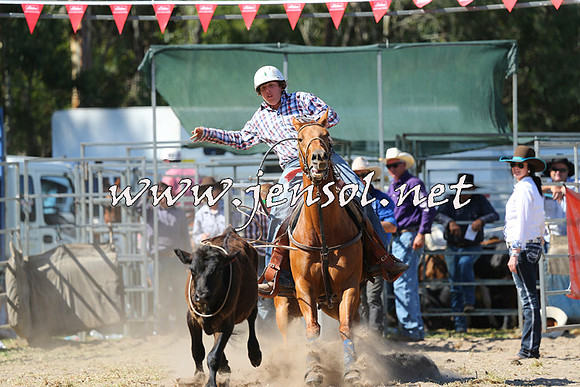 PictonRodeo2015_1543