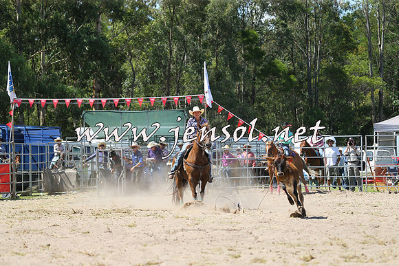 PictonRodeo2015_1274
