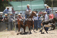 PictonRodeo2015_0049