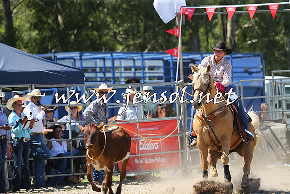 PictonRodeo2015_1310