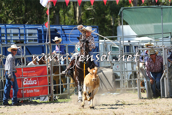 PictonRodeo2015_1298