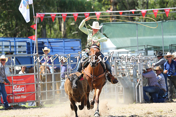 PictonRodeo2015_1305