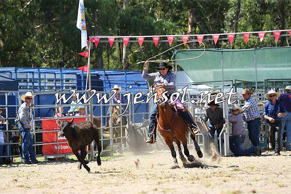 PictonRodeo2015_1318