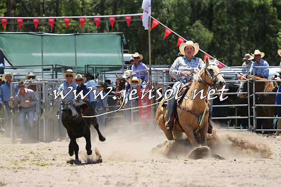 PictonRodeo2015_0457