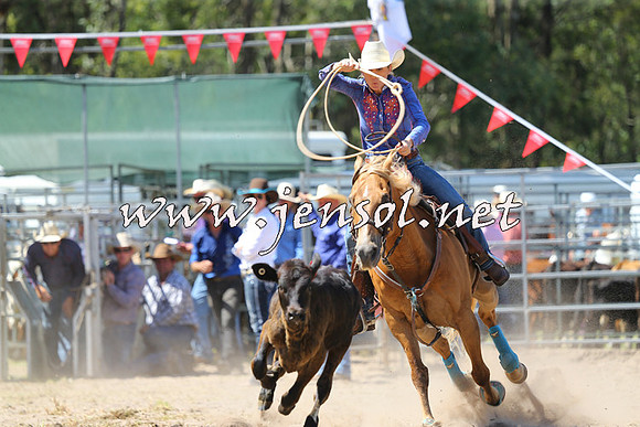 PictonRodeo2015_1282