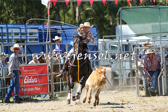PictonRodeo2015_1295