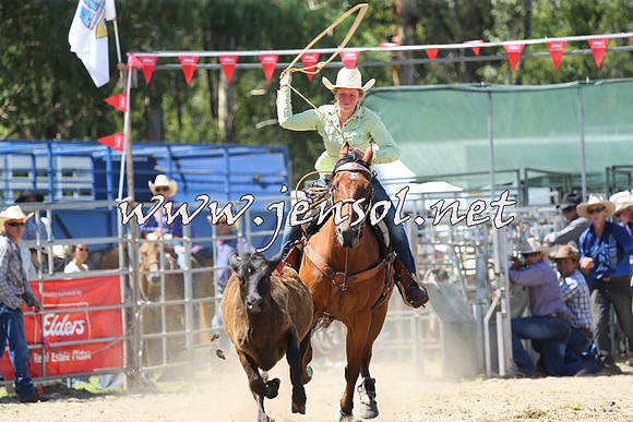 PictonRodeo2015_1304