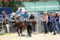 PictonRodeo2015_0030