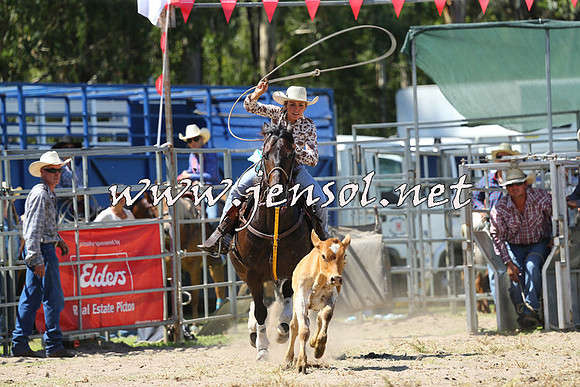 PictonRodeo2015_1296