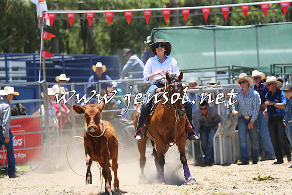 PictonRodeo2015_0441