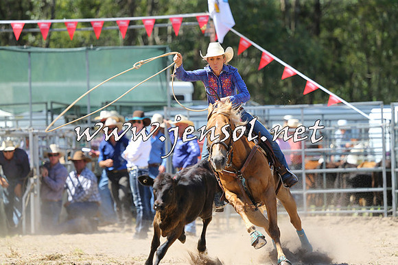PictonRodeo2015_1281