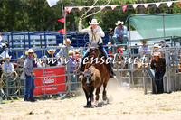PictonRodeo2015_0391