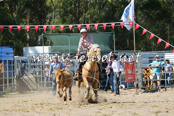 PictonRodeo2015_1537