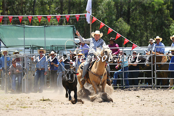 PictonRodeo2015_0463