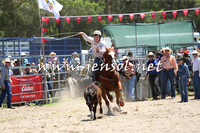 PictonRodeo2015_0022