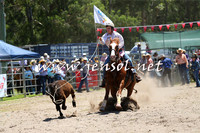 PictonRodeo2015_0026