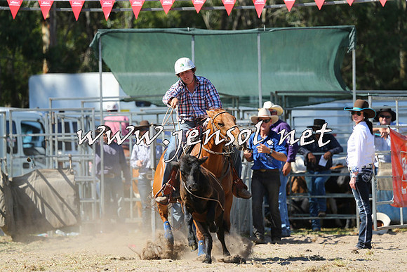 PictonRodeo2015_1540
