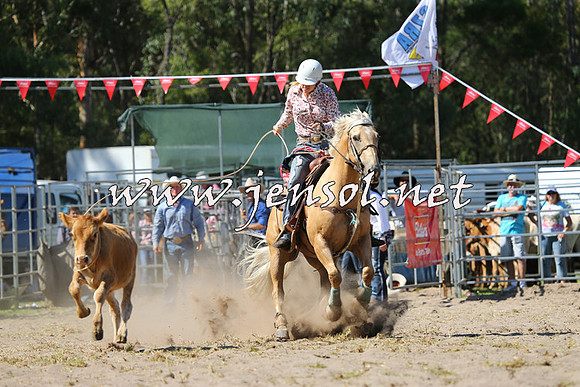 PictonRodeo2015_1538