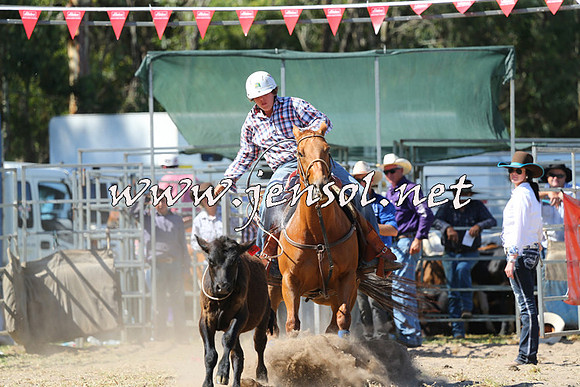 PictonRodeo2015_1545