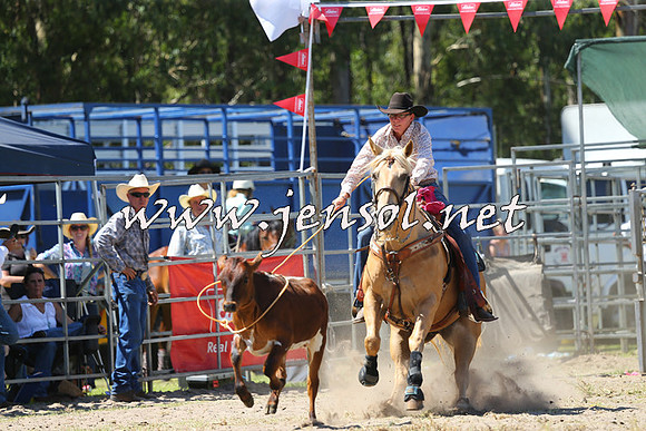 PictonRodeo2015_1313