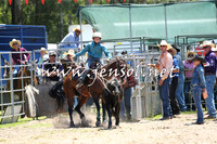 PictonRodeo2015_0036