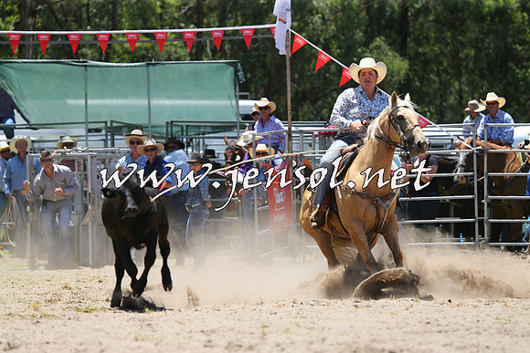 PictonRodeo2015_0458