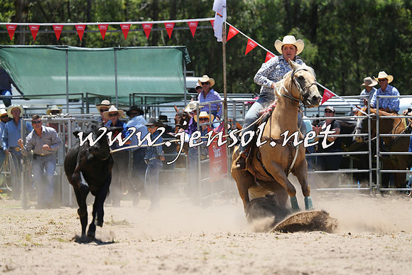 PictonRodeo2015_0459