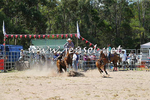 PictonRodeo2015_1278