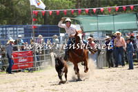 PictonRodeo2015_0028