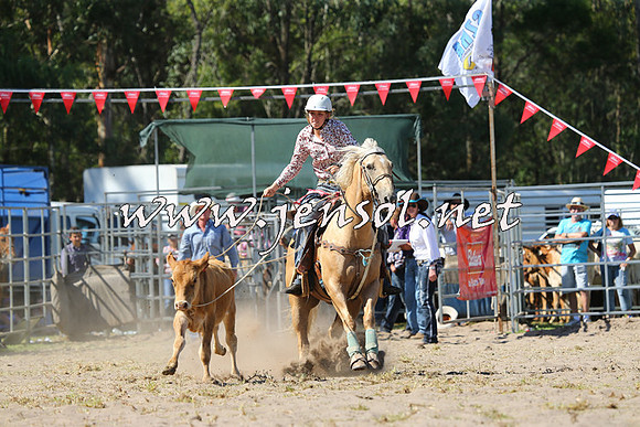 PictonRodeo2015_1539