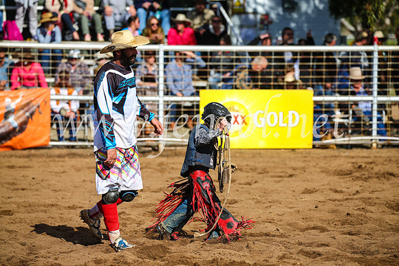 CoonambleRodeoCampdraftSun_3153