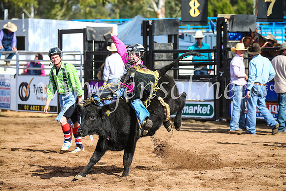 CoonambleRodeoCampdraftSun_3134