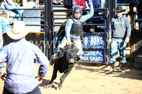 CoonambleRodeoCampdraftSun_2405