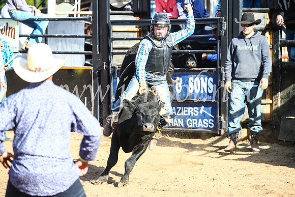 CoonambleRodeoCampdraftSun_2405
