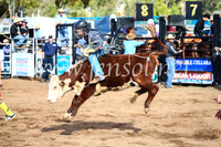 CoonambleRodeoCampdraftSun_2375