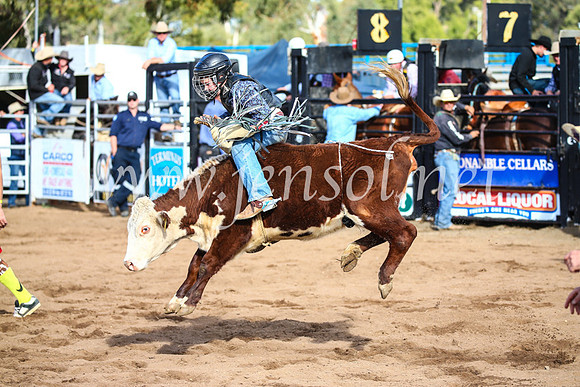 CoonambleRodeoCampdraftSun_2375