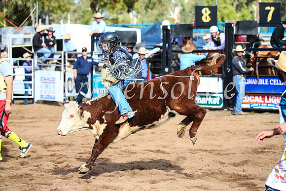 CoonambleRodeoCampdraftSun_2374
