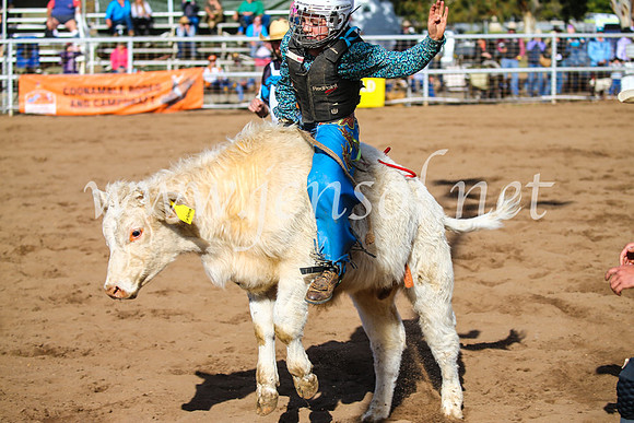 CoonambleRodeoCampdraftSun_2415