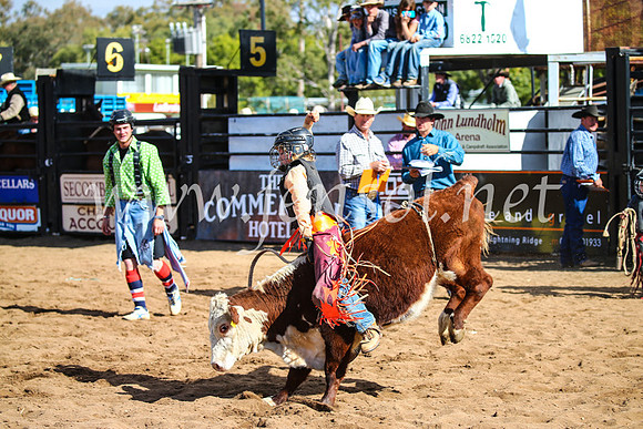 CoonambleRodeoCampdraftSun_3160