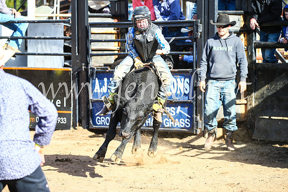 CoonambleRodeoCampdraftSun_2399