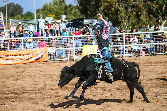 CoonambleRodeoCampdraftSun_3138