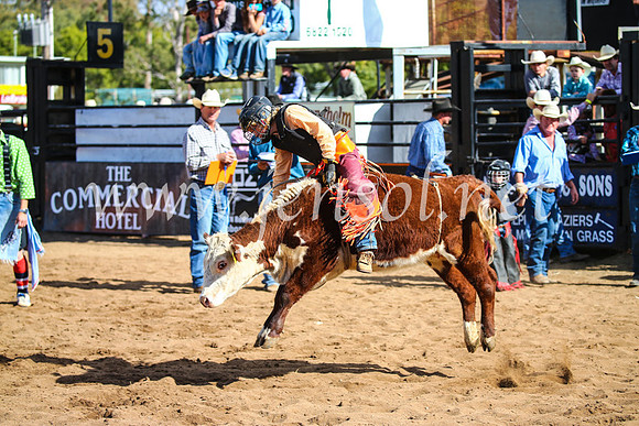 CoonambleRodeoCampdraftSun_3157